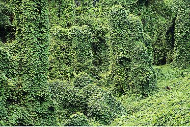 索尼漏发兑换码 玩家反馈《战神：诸神黄昏》典藏版没有游戏