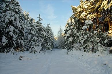 “喜加一”周报（6.27-7.3）：科幻探索和卡牌双丰收